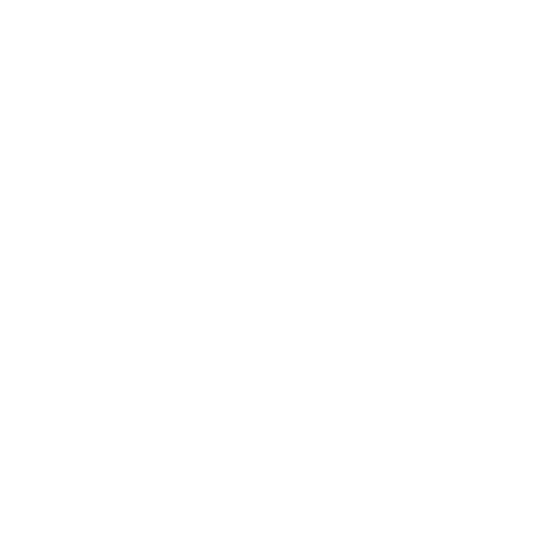 Bishop Fox